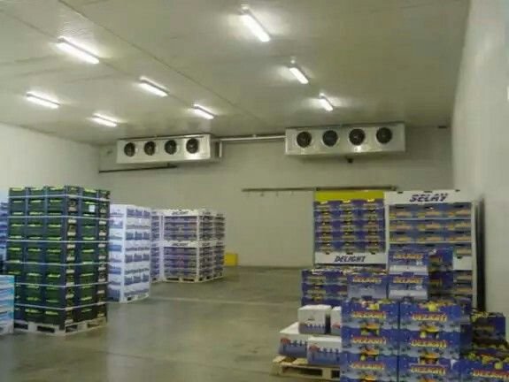 Medical Warehouse